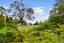 633A Swanson Road, Swanson, Auckland - Carousel 2