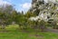 391 Taylor Road, Waimauku, Auckland - Carousel 4