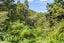 335 Whangarei Heads Road, Whangarei - Carousel 25