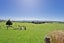 112 Nightcaps Opio Road, Opio, Otautau - Carousel 27