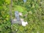22 Awa Glade Lane, Tikipunga, Whangarei - Carousel 21