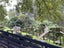 2 Cowan Bay Road, Pohuehue, Warkworth - Carousel 5
