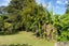 45 North Road, Kawakawa, Kawakawa - Carousel 21
