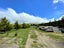 1019 Owaka Valley Road, Owaka Valley - Carousel 16