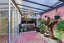 177 St Albans Street, St Albans, Christchurch - Carousel 26