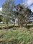 50 Painua Road, Hokio Beach, Levin - Carousel 5