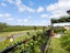 48 Merlot Drive, Greenmeadows, Napier - Carousel 18