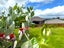 38D Kaipara Lake Road, South Head, Helensville - Carousel 15