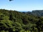 22 Waikarekare Lane, Karekare, Auckland - Carousel 4