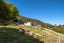 2648 Kaiuma Bay, KAIUMA BAY, HAVELOCK - Carousel 15