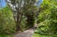 29 Atkinson Road, Titirangi, Auckland - Carousel 18