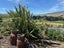 218 Hawksburn Road, Nevis, Cromwell - Carousel 3