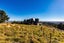 345 Worsleys Road, Cracroft, Christchurch - Carousel 7