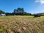 406 Taylorville Road, Coal Creek, Greymouth - Carousel 15