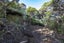 14 LA TROBE TRACK, KareKare, Auckland - Carousel 10