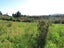 17A Darkies Terrace Road, Charleston, Cape Foulwind - Carousel 8