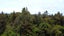 0 Wangapeka Road, Little Wanganui, Karamea - Carousel 3