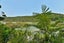 103 North Cove, KAWAU ISLAND, Kawau Island - Carousel 11