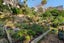 16 Dorking Road, Brooklyn, Wellington - Carousel 26