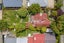 137 Clarence Street, Riccarton, Christchurch - Carousel 1