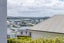 1H Caroline Street, Saint Marys Bay, Auckland - Carousel 11