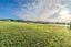 35 Marne Street, Riverton/Aparima - Carousel 7