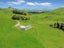 160 Whetukura Road, Ormondville, Dannevirke - Carousel 15