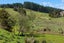 299 Peria Road, Peria, Kaitaia - Carousel 18