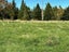 610 Raetihi Ohakune Road, Ohakune - Carousel 5