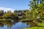 881A Norfolk Road, Carterton - Carousel 39