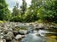 424A Hot Springs Road, Tahawai, Katikati - Carousel 33