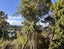 36B Renata Crescent, Te Atatu Peninsula, Auckland - Carousel 4