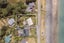 786 Wainui Main Road, Wainui, French Farm - Carousel 17