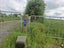 582 York Road, Midhirst, Stratford - Carousel 6