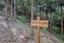 200 Okains Bay Road, Robinsons Bay, Robinsons Bay - Carousel 9