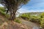 131 Volga Street, Island Bay, Wellington - Carousel 17