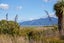 97 Lake Ferry Road, Lake Ferry - Carousel 16