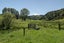 88 Koromiko Road, Ongarue, Taumarunui - Carousel 14