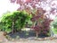 2B Korau Road, Greenlane, Auckland - Carousel 4