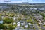 33 Massey Avenue, Greenlane, Auckland - Carousel 21