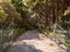 149 Old Hautere Road, Hautere, Otaki - Carousel 2