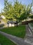 37 Plunket Terrace, Hamilton East, Hamilton - Carousel 3