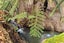 0 Runciman Road, Ramarama, Drury - Carousel 9