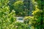 12 Dover Place, Remuera, Auckland - Carousel 12
