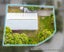 3/286 Porchester Road, Takanini, Auckland - Carousel 12
