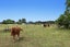 323B Hallett Road, Otakiri, Whakatane - Carousel 32