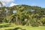 127A The 309 Road, Preece Point, Coromandel - Carousel 6