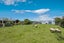 14 Hathaway Street, Spring Creek - Carousel 24