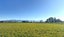 250 South Road, Solway, Masterton - Carousel 3