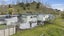 835 State Highway 67, FAIRDOWN, WESTPORT - Carousel 34